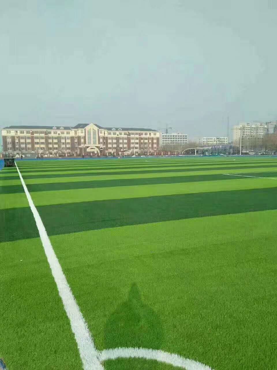 周口市半预制型跑道仿真草坪 - 价格